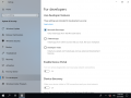 Cli-10.0.17763.316 settings-fordevelopers.png