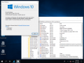 Cli-10.0.17763.316 winver.png