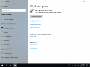 Cli-10.0.17763.316 settings-about.png
