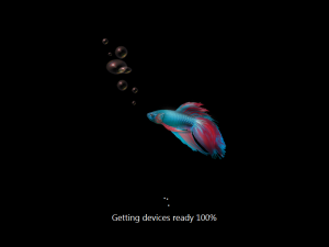 8051setup5.png
