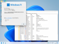 Cli-10.0.22621.382 about.png