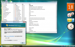 Client-6.0.6003.20654-winver.png