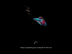 Cli-6.2.8028.0-sysprep3.png