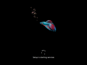 Cli-6.2.8028.0-sysprep1.png