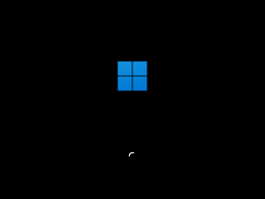 Windows 11 27749 bootup.png