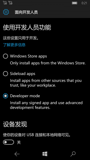 WP-10.0.13039.73-settings-ForDevelopers.png
