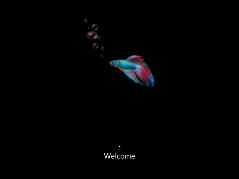 文件:Cli-6.2.8028.0-PE bootup.png