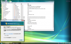 Client-6.0.6003.20667-winver.png