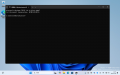 Windows 11 27749 terminal.png