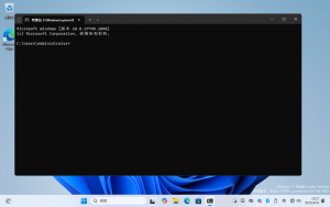 Windows 11 27749 terminal.png