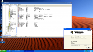 Srv-5.1.2462.0-regedit.png