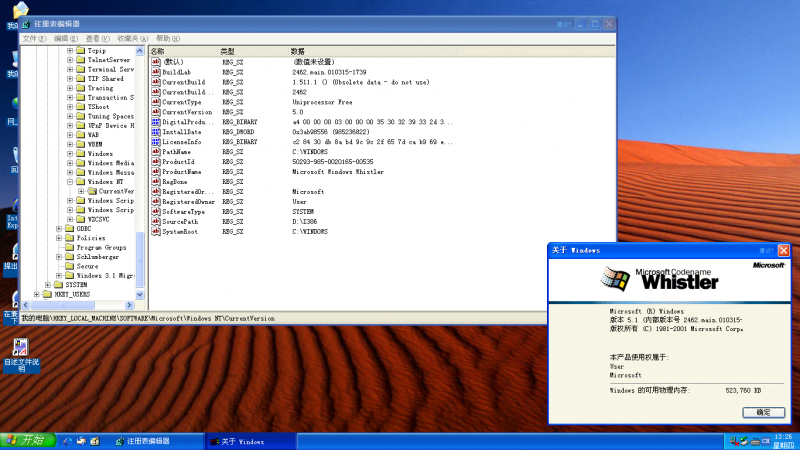 文件:Srv-5.1.2462.0-regedit.png