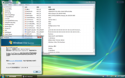 Client-6.0.6003.20749-winver.png