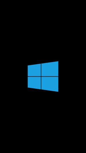 WP-10.0.15254.556-startup.png