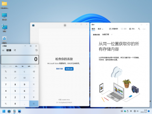 Cli-10.0.22621.382-demo-2.png