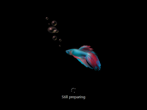 8051setup1.png