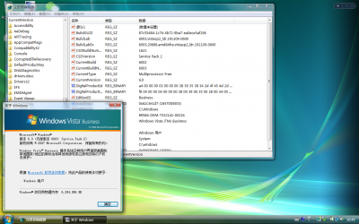 Client-6.0.6003.20686-winver.png