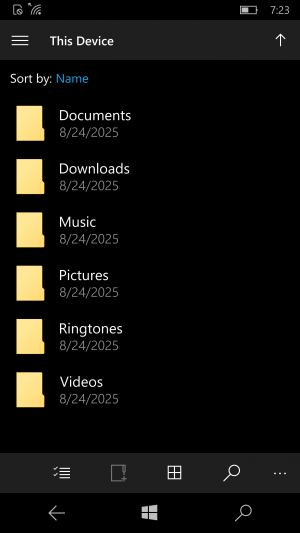 WP-10.0.13169.318-fileexplorer.png