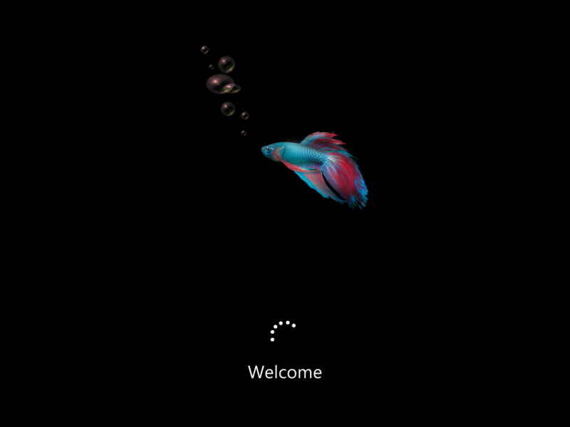 文件:Cli-6.2.8028.0-bootup.png